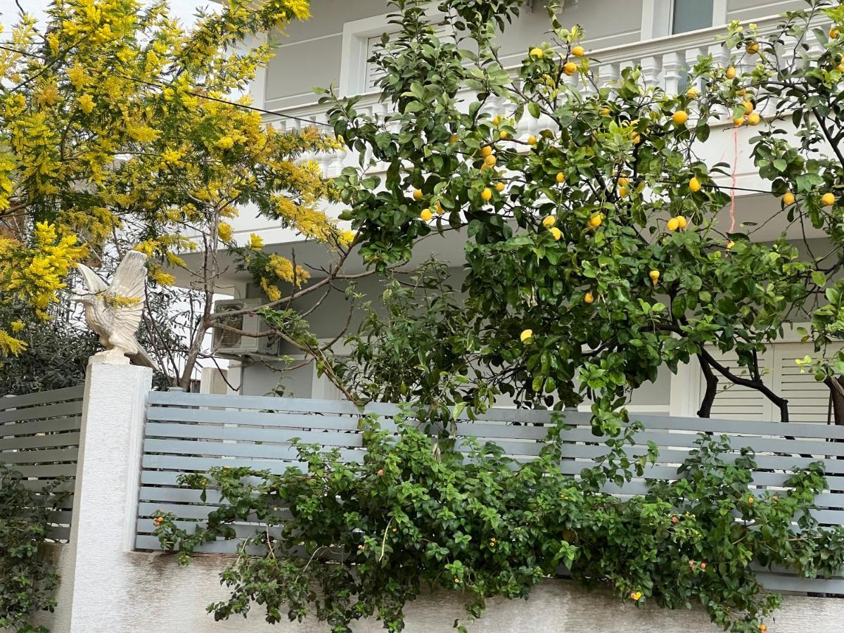 Apartments & Studios Ardian-Mandi Sarande-Albania Ngoại thất bức ảnh