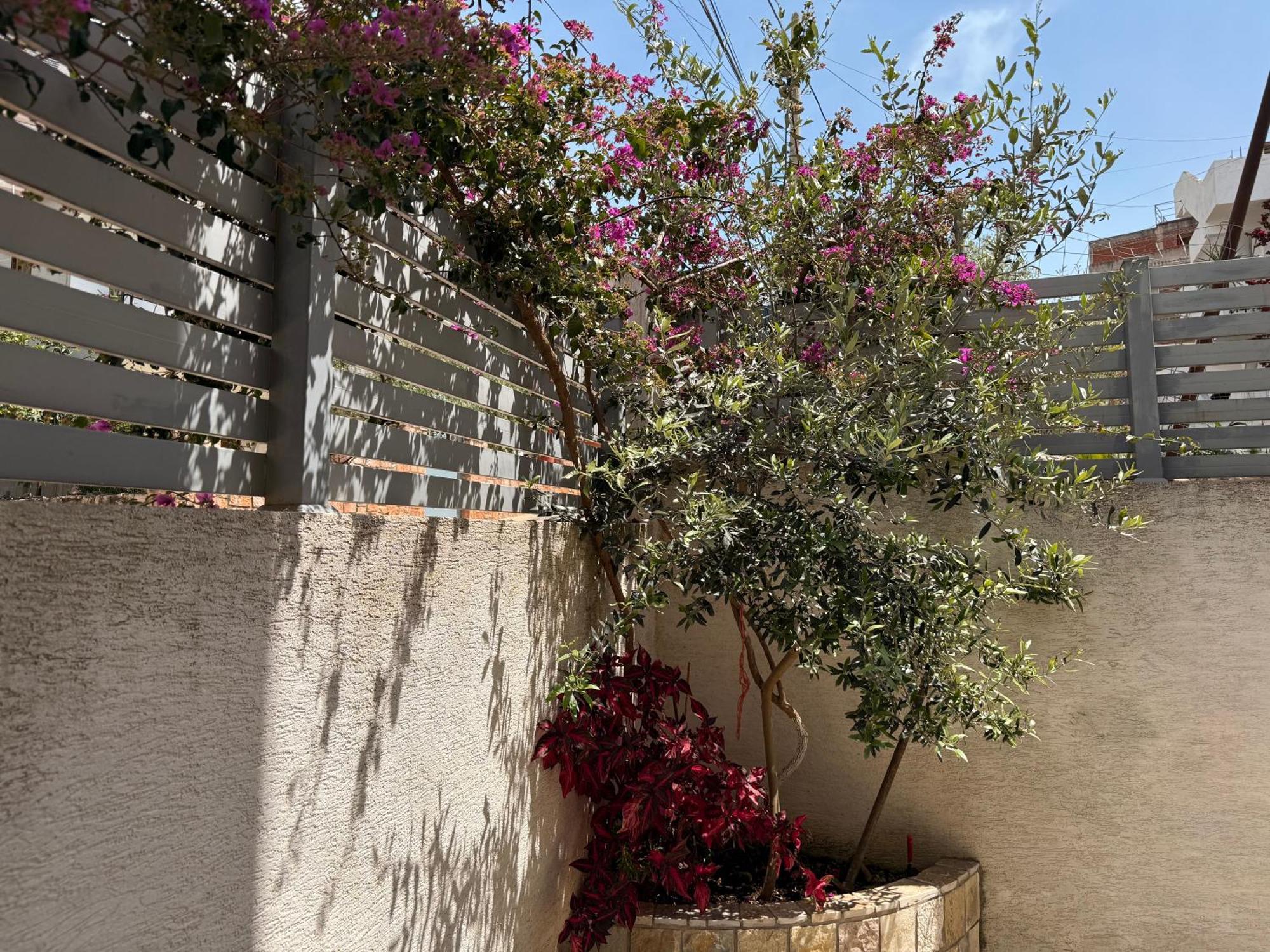 Apartments & Studios Ardian-Mandi Sarande-Albania Ngoại thất bức ảnh