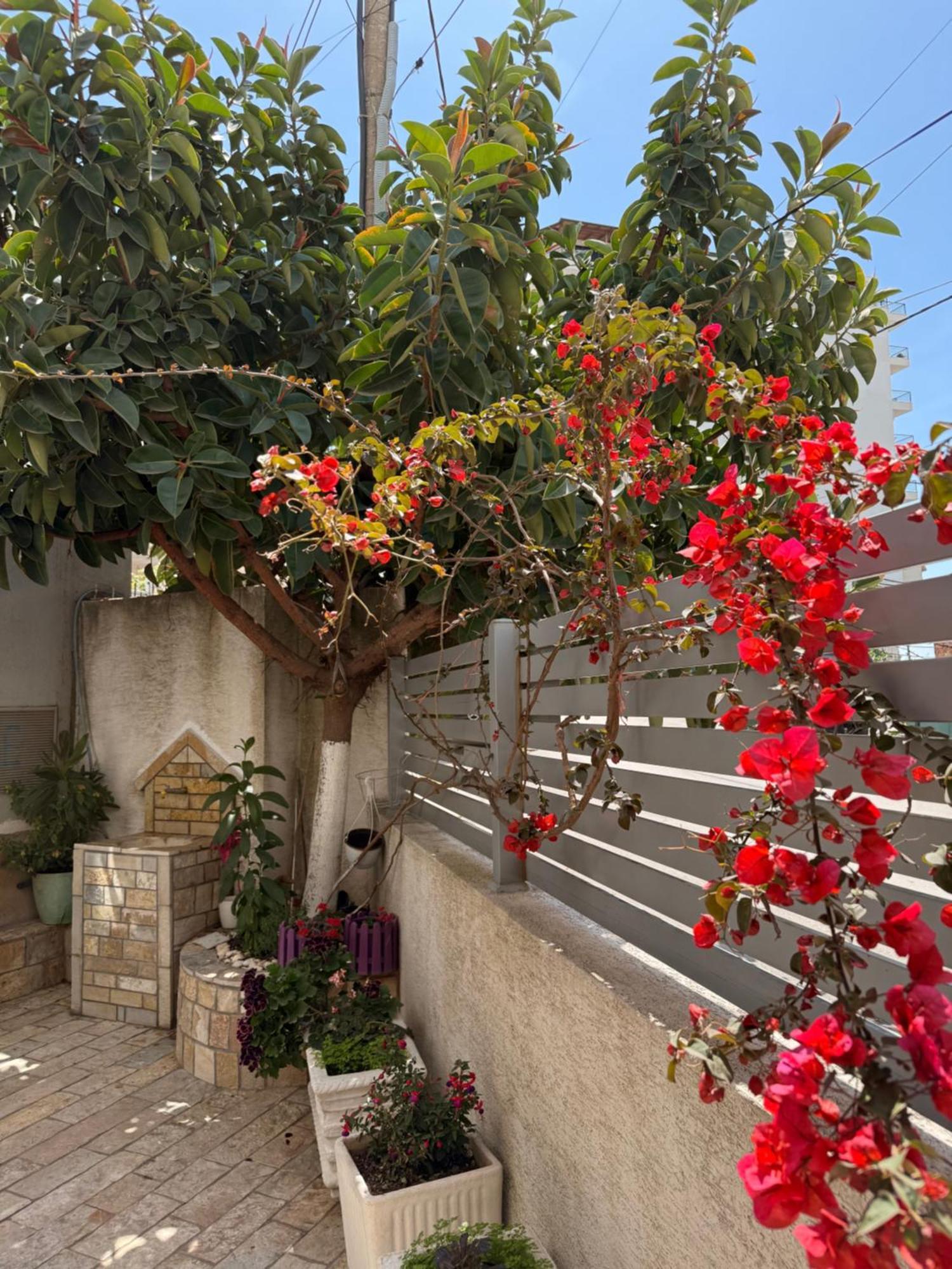 Apartments & Studios Ardian-Mandi Sarande-Albania Ngoại thất bức ảnh