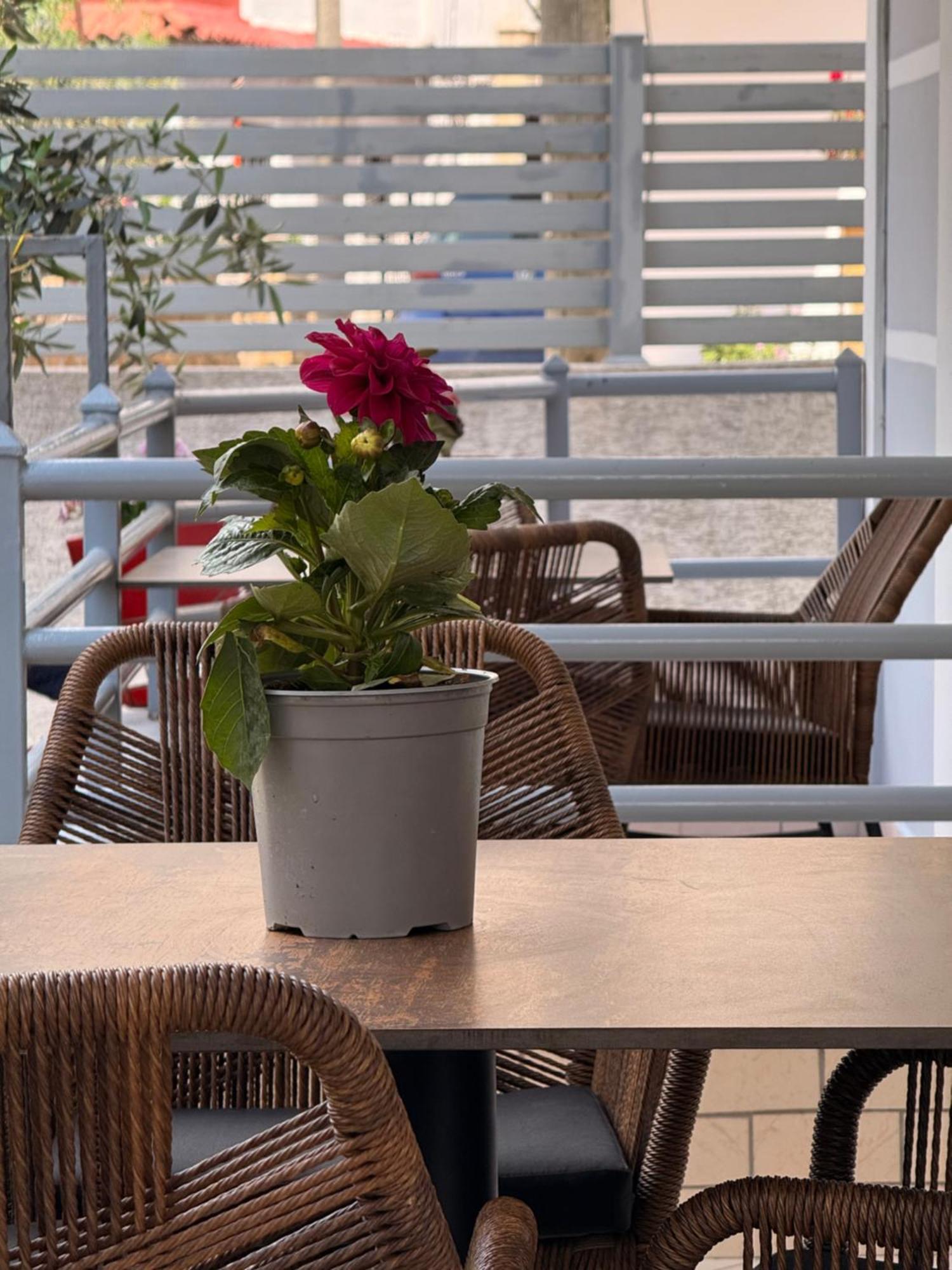 Apartments & Studios Ardian-Mandi Sarande-Albania Ngoại thất bức ảnh